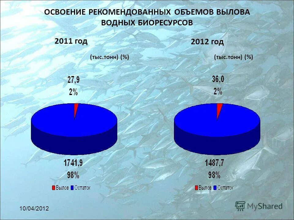добыча водных ресурсов в россии. объекты вылова водных ресурсов. охрана водных биологических ресурсов. каспийское море промышленное рыболовство. много рыбы.