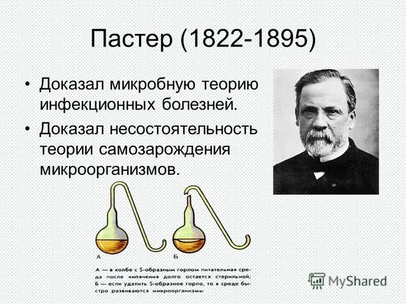 Луи Пастер теория. Луи Пастер самозарождение. Опыт Луи Пастера. Луи Пастер самозарождение микроорганизмов.