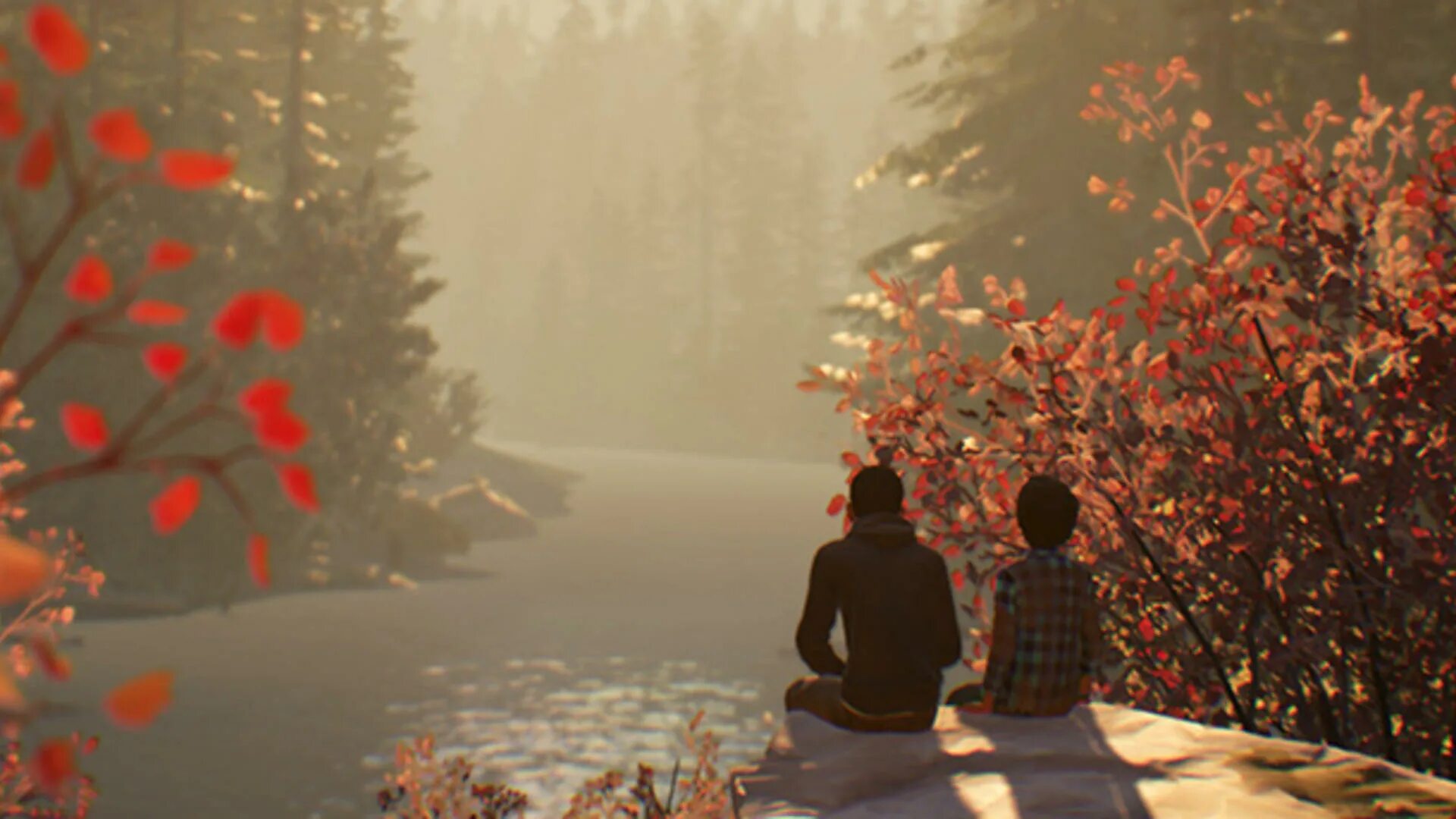 Life is warmed. Life is Strange 2. Life is Strange 2 1920 1080.