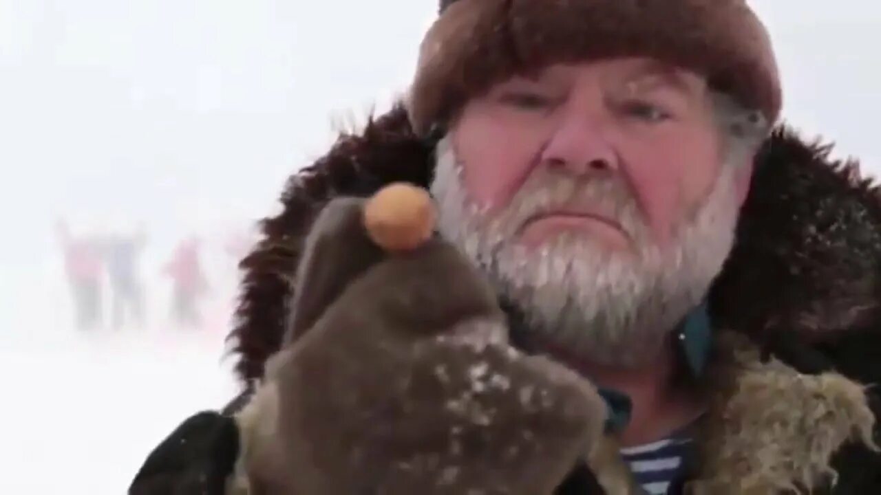 Бойкий неугомонный человек на русском севере. Архангельский мужик. Якуты, чукчи, ханты, ненцы. Ненцы фенотип. Народы сибири ненцы.