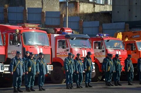 Органы противопожарной службы мчс