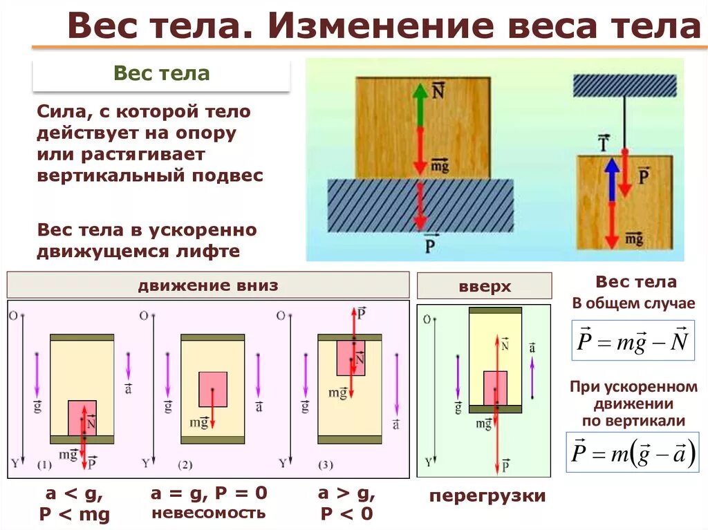 Вес тела изменение веса