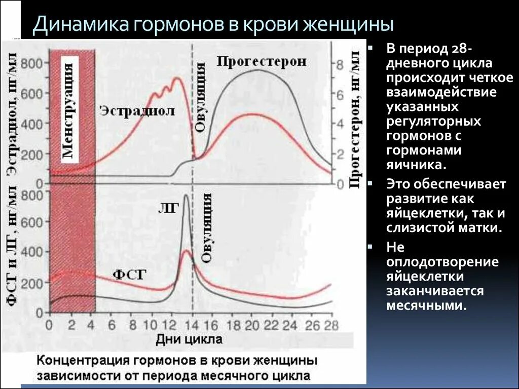 Фсг при климаксе у женщин. Фолликулярная фаза норма гормонов эстрадиол. График эстрадиола по дням цикла. График женских гормонов в цикле. Уровень пролактина в зависимости от дня цикла.