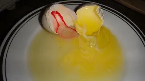 Кровяное яйцо
