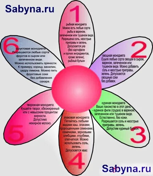 Монодиета 6 лепестков. Диета Ромашка 6 лепестков меню. Диета лепесток 7 дней меню на каждый. Диета 7 лепестков меню. Семь лепестков интернет