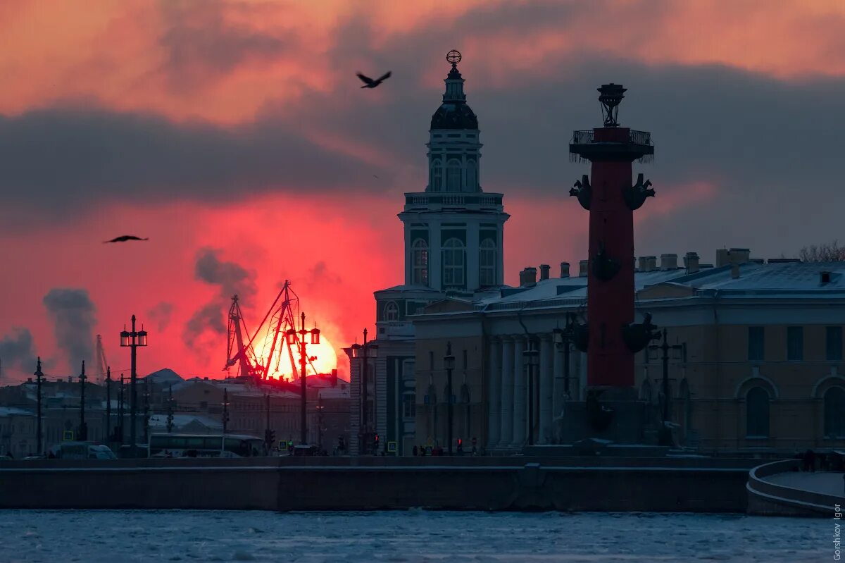 Ростральные колонны в Питере. Ростральные колонны Петропавловская крепость. Стрелка Васильевского острова колонны. Ростральные колонны Санкт-Петербург зимой.