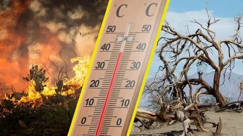 Погода теплого времени
