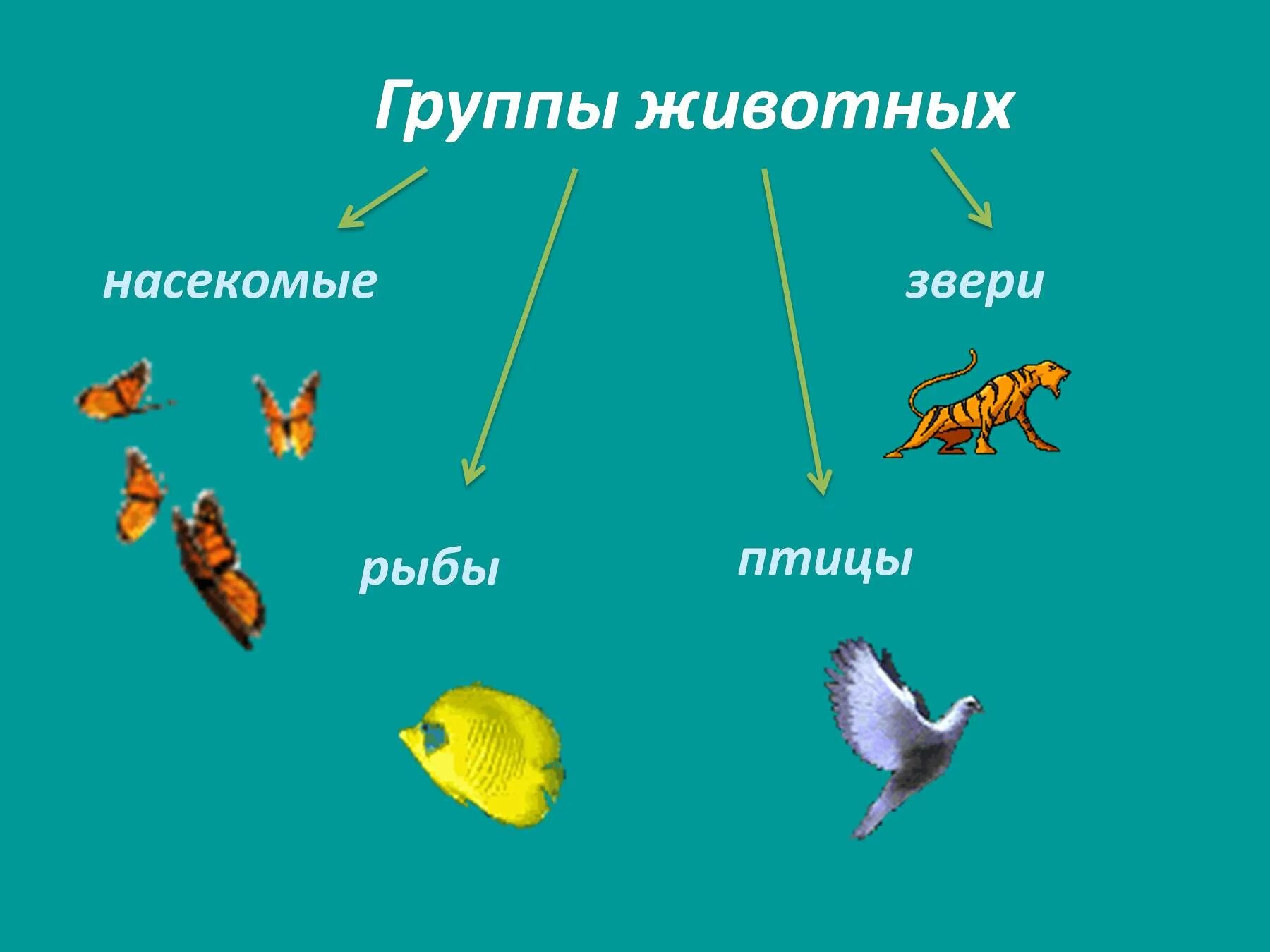 Группы животных существуют. Группы животных. Группы живого. Группа животных звери. Группа животных рыбы.