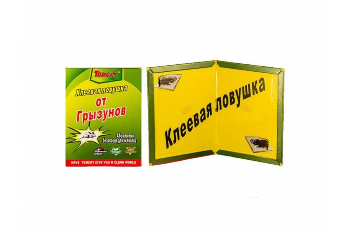 Клей ловушка для мышей. Клей ловушка для мышей. Клеевые ловушки для мышей и крыс. Ловушка клей для крыс rat mous. Гель от мышей липкий.