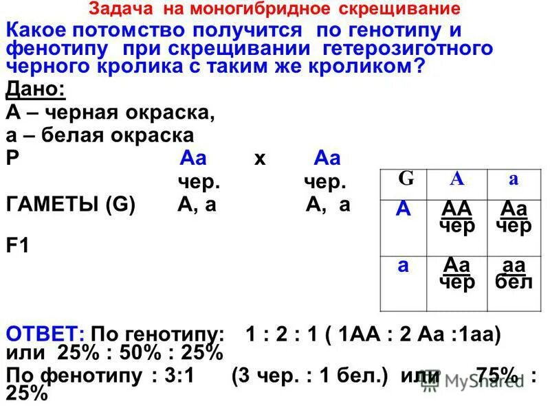 Как определить генотип в задаче. Задачи по генетике 9 моногибридное скрещивание. Скрещивание задачи генетика. Генетическая схема анализирующего скрещивания. Решение генетических задач на моногибридное скрещивание схема.