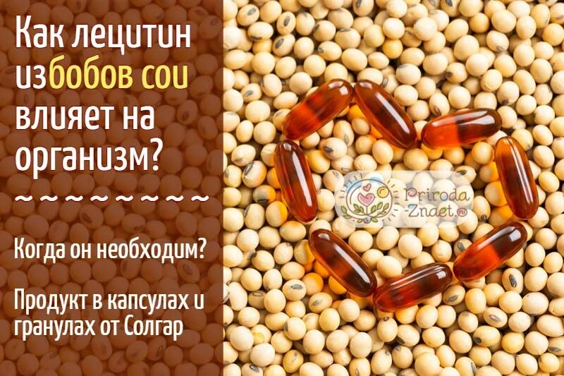 В каких продуктах содержится лецитин? KLIWI.RU