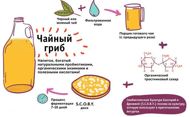 Чайный гриб при сахарном диабете 2 типа. Напитки для диабетиков 2 типа. Чайный гриб для диабетиков. Напитки при диабете 1 типа.