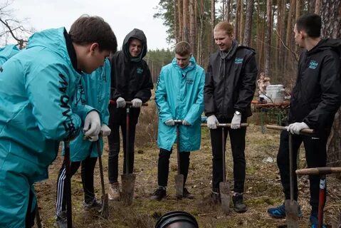 Брянск тудей последние новости брянска