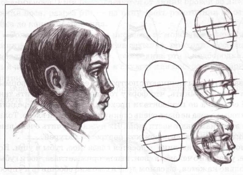 Этапы рисования портрета. Поэтапное рисование лица. Лицо человека рисунок. Зарисовка головы человека в профиль. Профиль поэтапно
