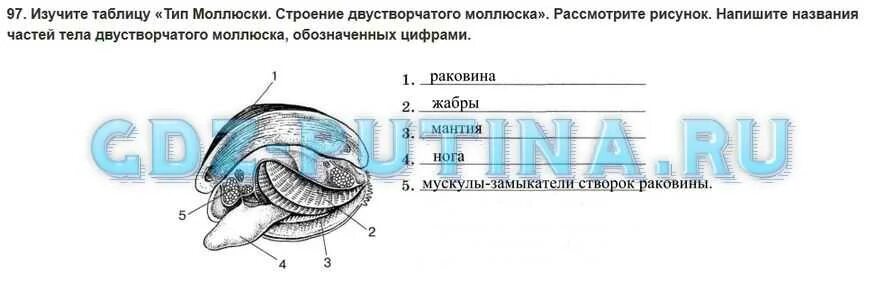 Рассмотрите рисунки запишите что обозначают цифры