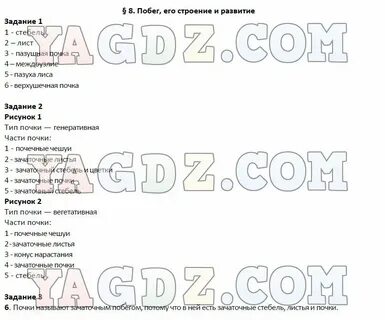 Биология 6 класс стр 99 вопросы