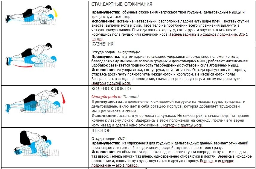 Сколько можно отжимания. Упоры для отжиманий программа тренировок. Отжимания на разные группы мышц. Комплекс упражнений отжимания от пола. Отжимания от пола разными хватами.