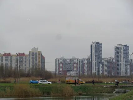 Сайт мо коломяги