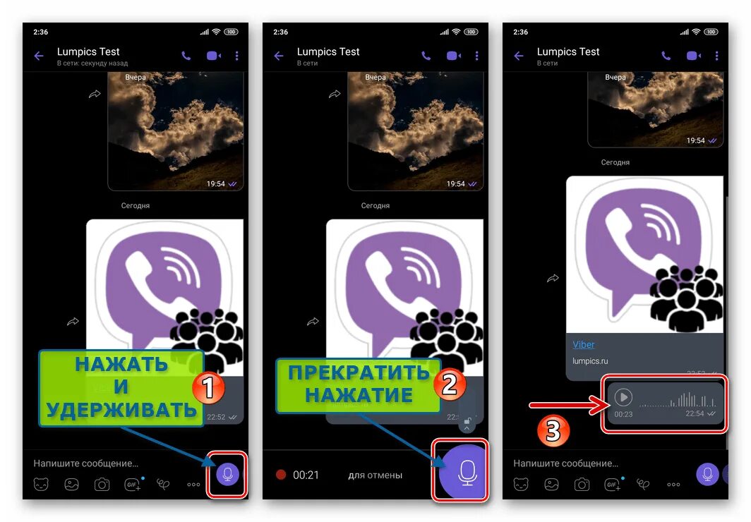 Как переслать голосовое в вайбере. Как записать голосовое в вайбере. Как записать голосовое в Viber. Вайбер как записать голосовое сообщение. Как отправить голосовое в вайбере.