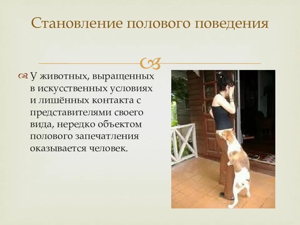Половое становление. Половая идентификация этапы развития. Половая идентификация это в психологии. Половая идентификация дошкольников. Формирование пола у животных и человека.