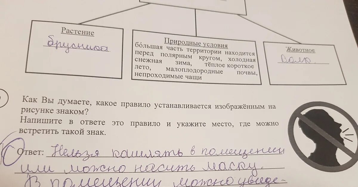 Животное в тундре ВПР 5 класс по биологии. Тундра впр 5 класс биология