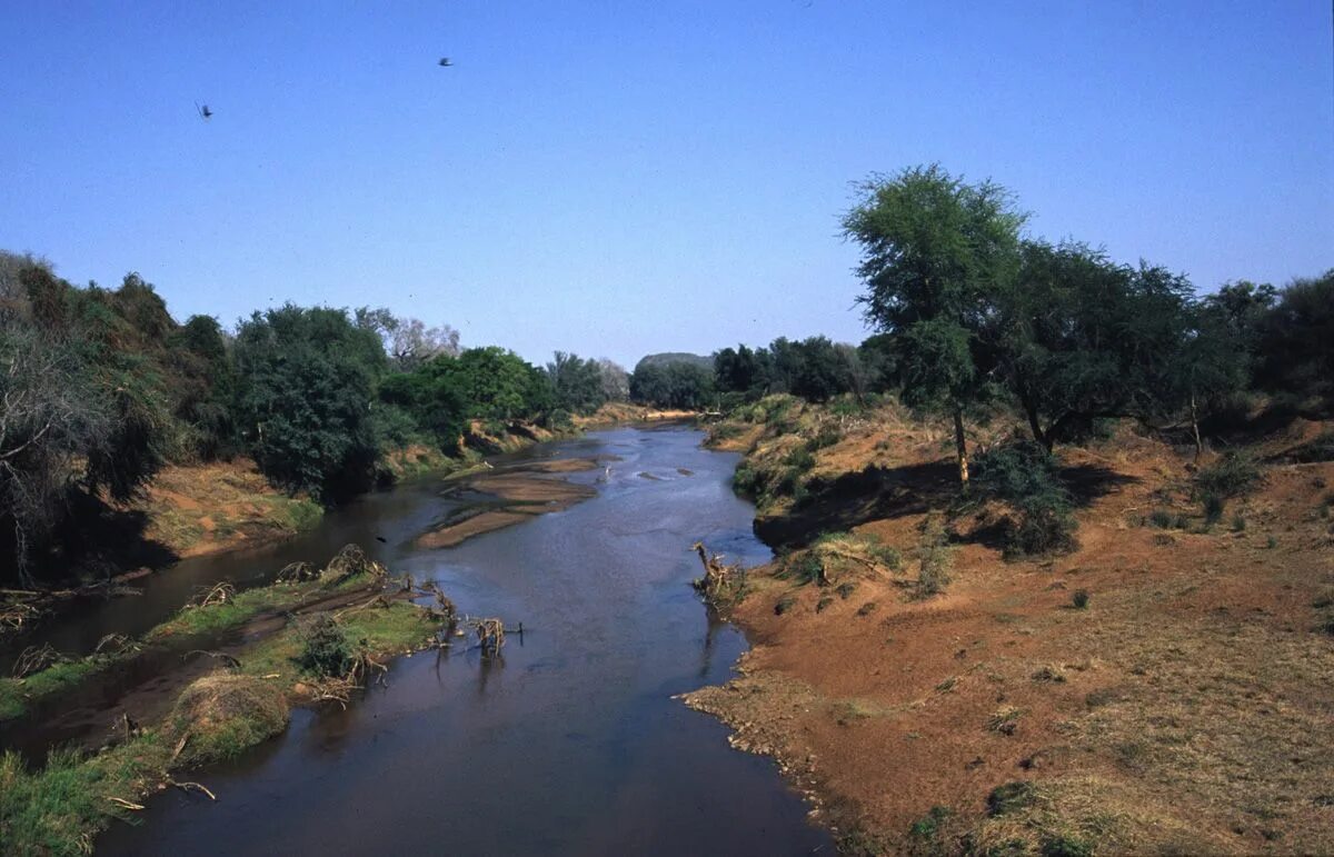 Лимпопо река в Африке. Река Лимпопо ЮАР. Зимбабве река Лимпопо. Лимпопо Мозамбика. Africa river