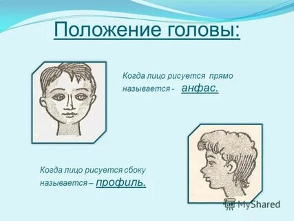 Как называют лицо