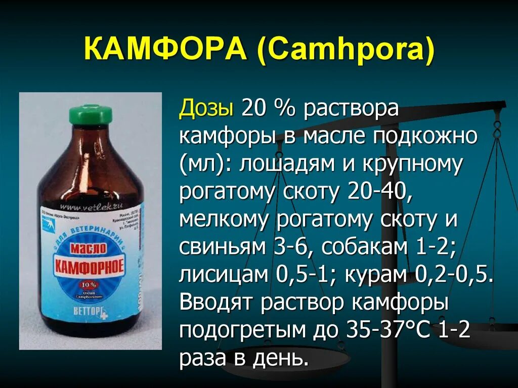 Раствор камфоры 20% для инъекций. Камфорное масло для инъекций. Раствор камфоры масляный для инъекций. Камфора подкожно.