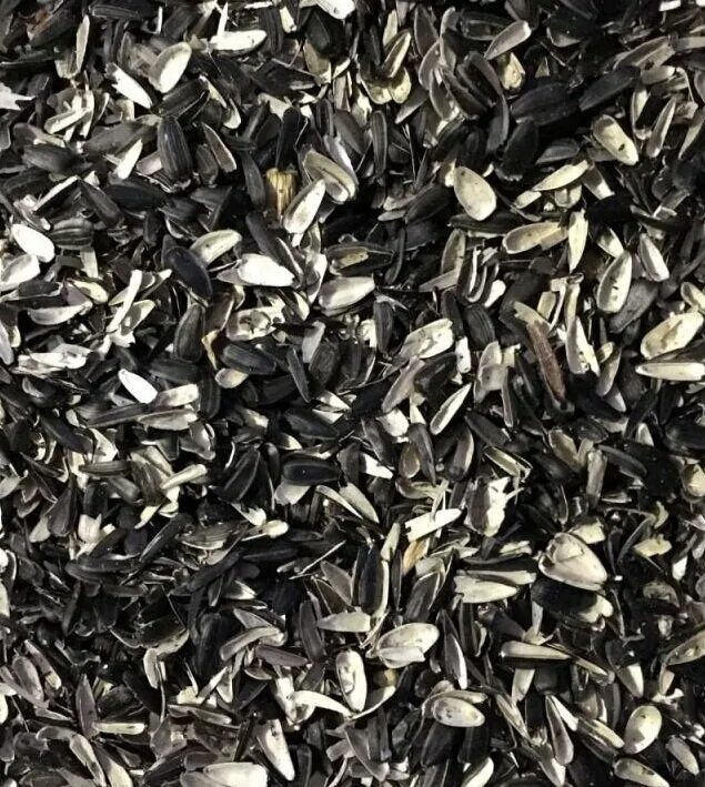 Полезна шелуха семечек – Telegraph