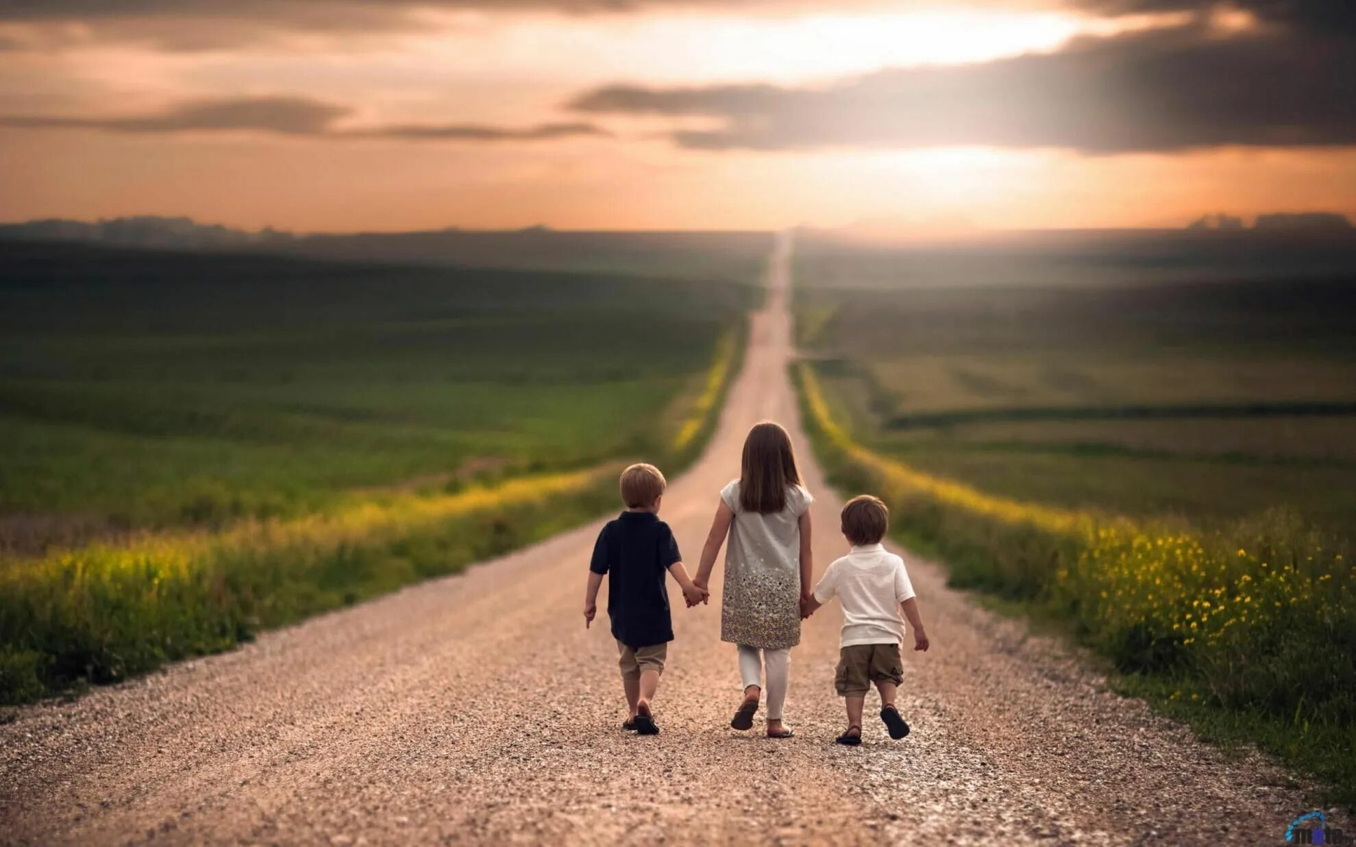 Дети идут по дороге. Дорога к счастью. Дорога в счастливое будущее. Жизненный путь.