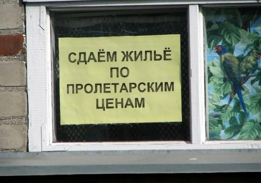 Сдам гражданам рф. Сдам жилье приколы. Сдача квартиры прикол. Сдается жилье прикол. Сдам квартиру прикол.