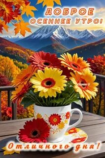 Picture background