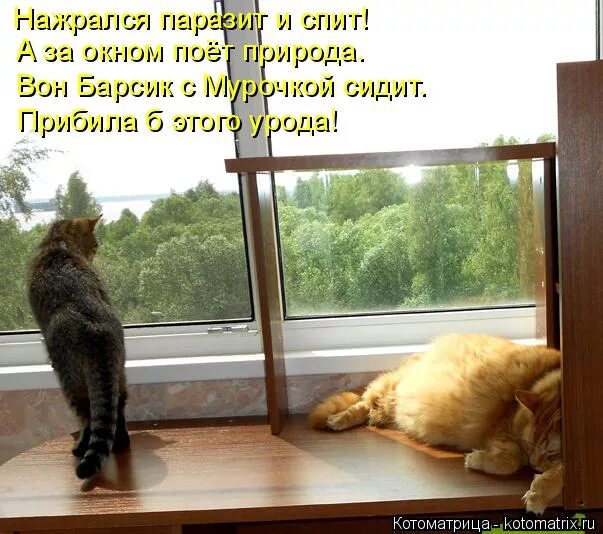 что поют под окном. колядки под окном. серенада под окном. серенада под балконом. что поют под окном любимой.