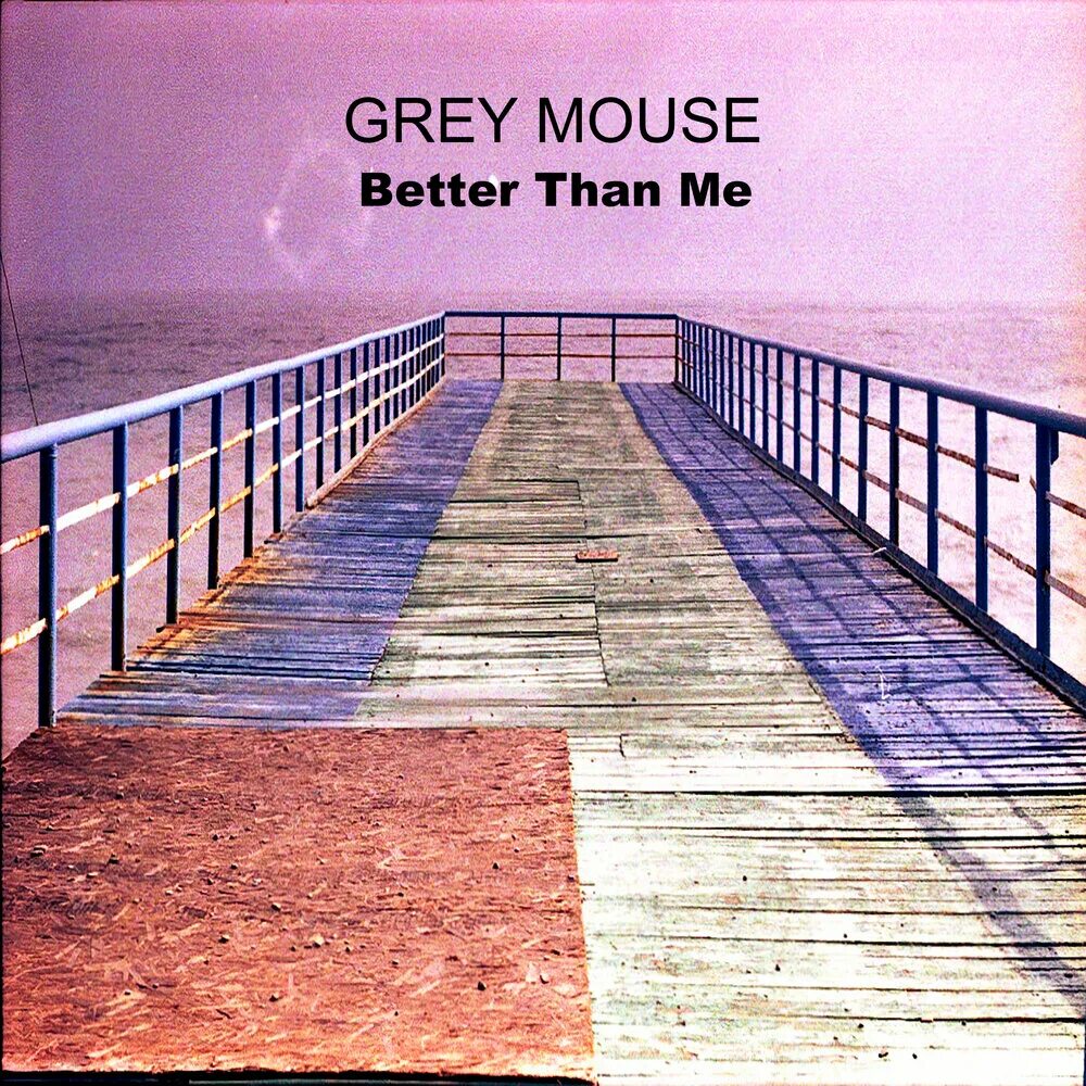 We good song. Better альбом. Better than me. Альбом найн Майс. Weak Grey Mouse.