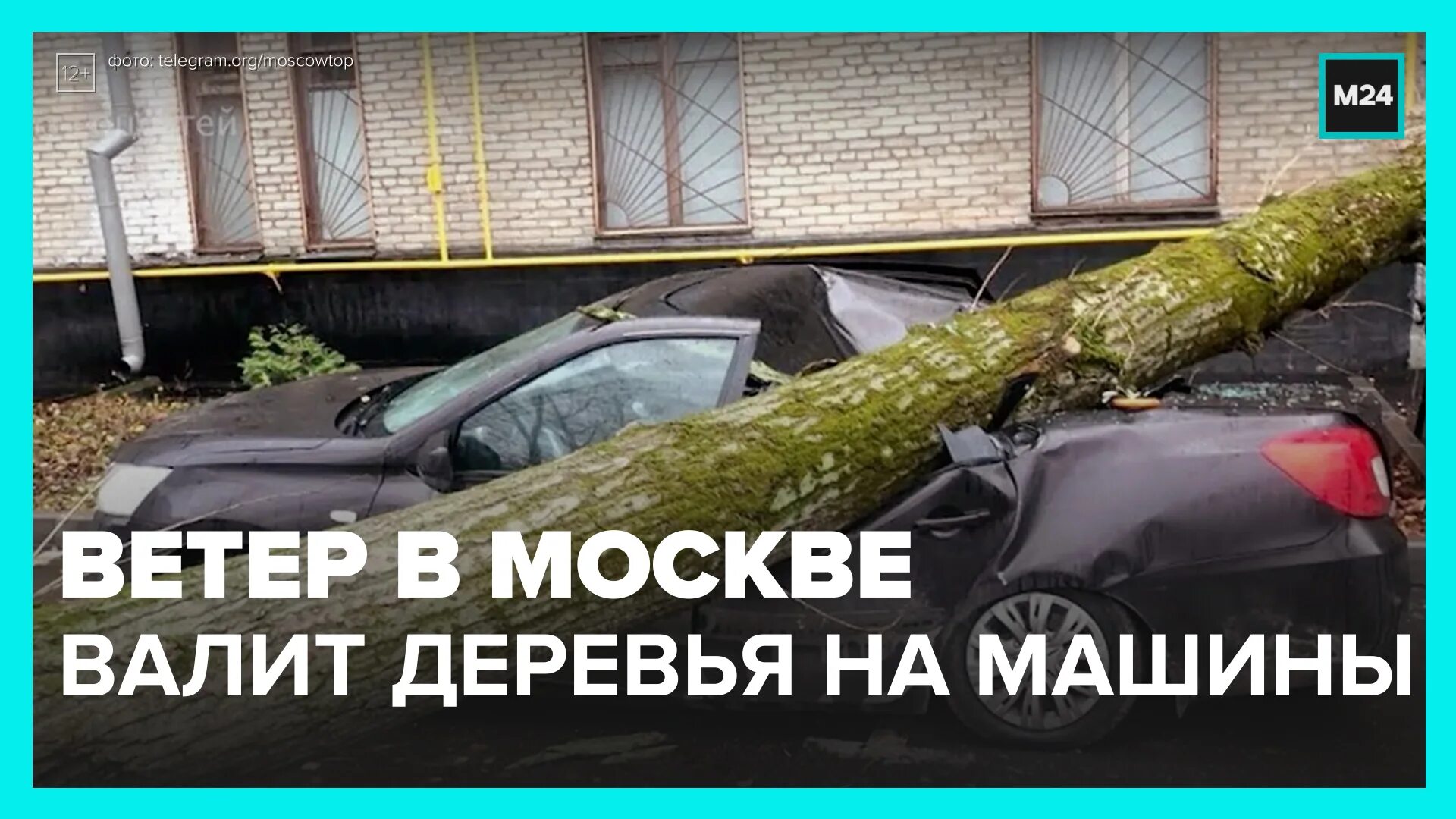 Ветер в москве деревья. Упавшие деревья в Москве. Осторожно сильный ветер. Ветер авария интернет. Сносит ветром.