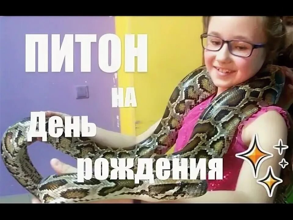 Чем измеряют длину удава в мультфильме 38 попугаев. День удав. День удав. Удав из мультфильма 38 попугаев. День удав.