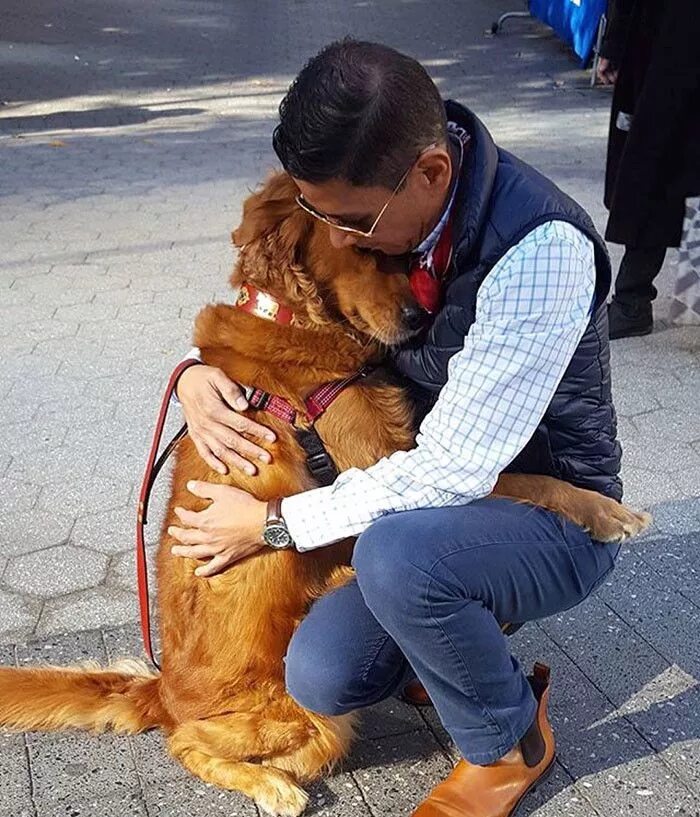 Обнимает собаку. Обнимашки с собакой. Собака любит человека. Собака обнимака.