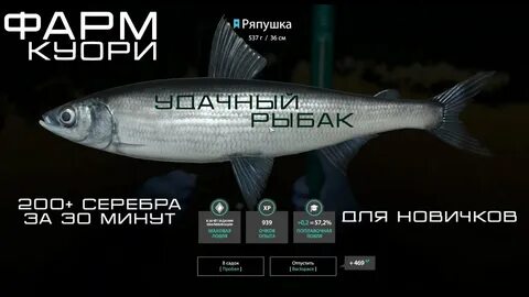 Куори приманки