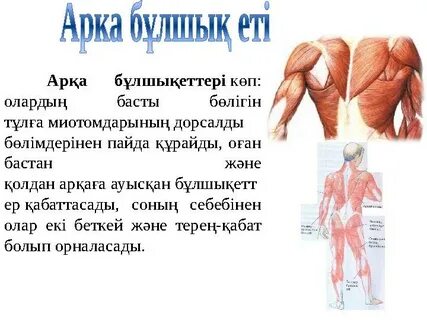 Төменнен сиып жатқан қыздар, әжетханада жасырын камера