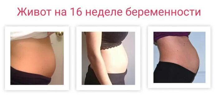 Тянет низ живота 15 недель. Беременный живот на 16 неделе. живот при беременности 16 недель. размер живота на 16 неделе.