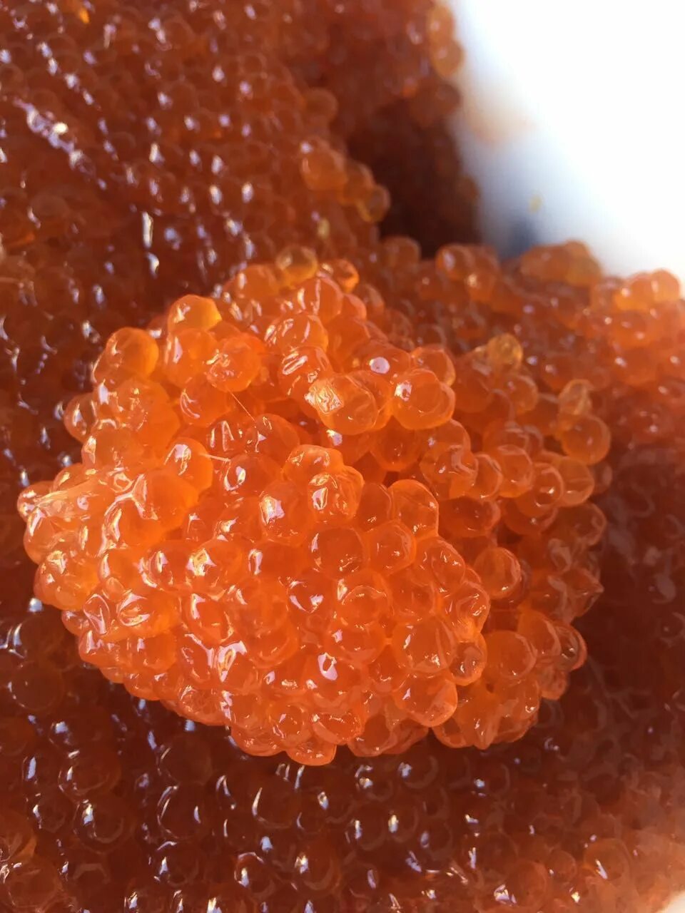 Как выглядит красная икра. Икра красная натуральная. Кета рыба икра. Кета рыба икра. Икра лосося.