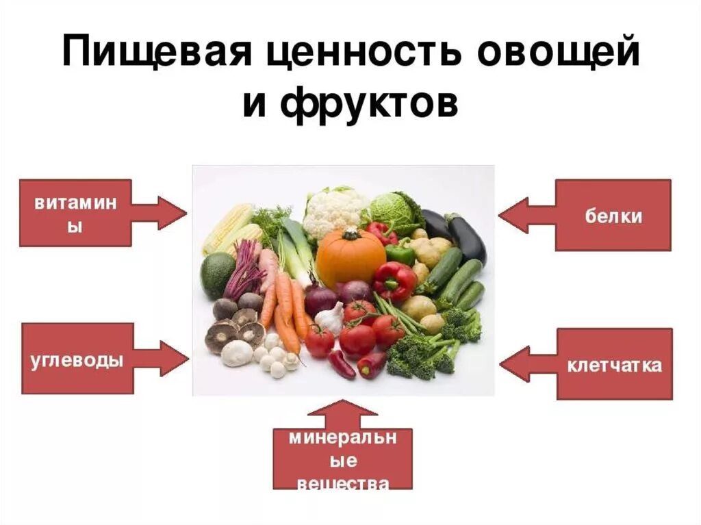 Какова питательная ценность овощей. Пищевая и биологическая ценность овощей. Ценность овощей и фруктов. Пищевая ценность плодовых овощей.