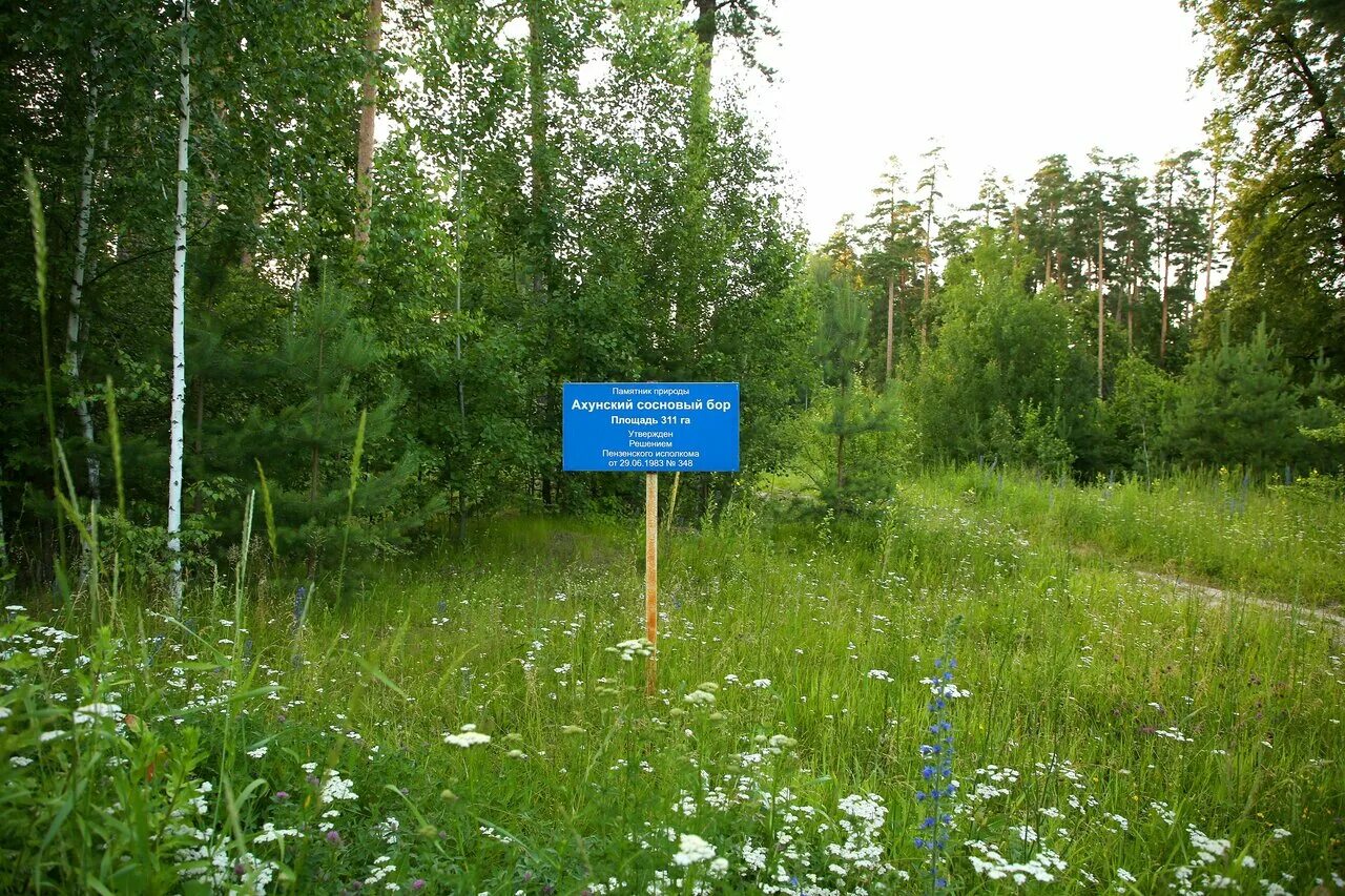 пензенские памятники природы. памятник старик хопер пензенская область. природа в пензе памятник. ардымский шихан пензенская область. истоки реки хопер пензенская область.