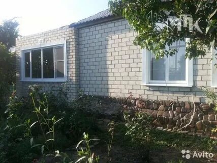 Рп5 большой бейсуг краснодарский