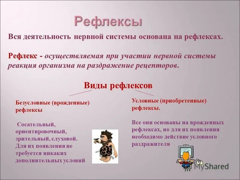 Виды врожденных рефлексов. Условные и приобретенные рефлексы. Приобретенные рефлексы примеры.