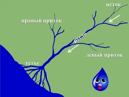 Устье приток исток русла