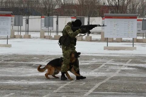 Росгвардия по самарской