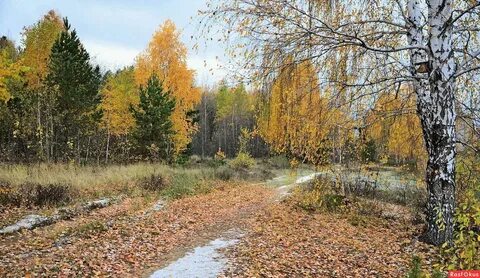 Осень поздняя блок