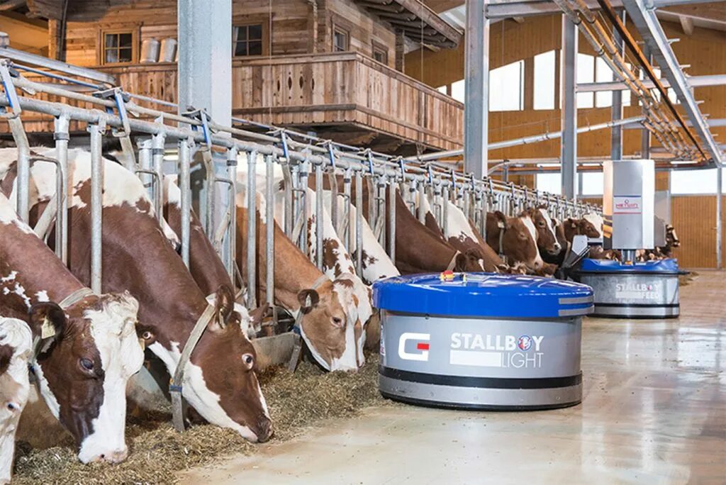 Молочная ферма. Автоматизировать процессы в животноводстве. Доильный робот геа. Технологические процессы в животноводстве. Технологическое животноводство.