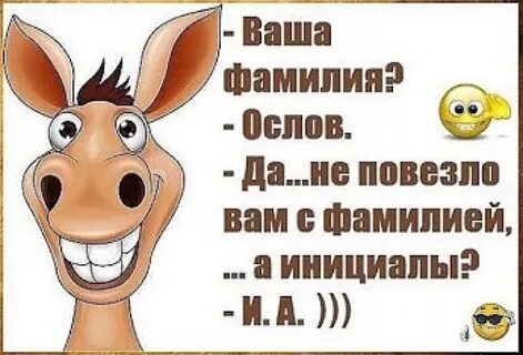 Приколы про ослов